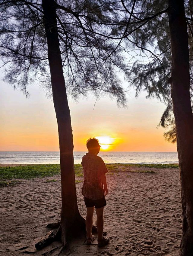ชมเครื่องบินขึ้นที่ หาดไม้ขาว ภูเก็ต