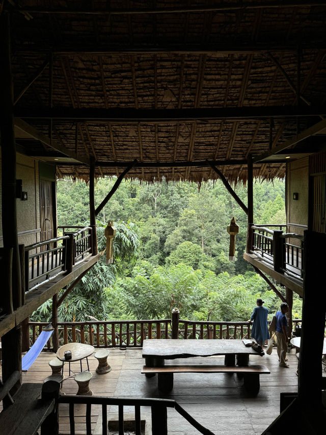 บ้านต้นไม้แม่แมะ | เชียงใหม่ 🏡⛰️🌧️🌿