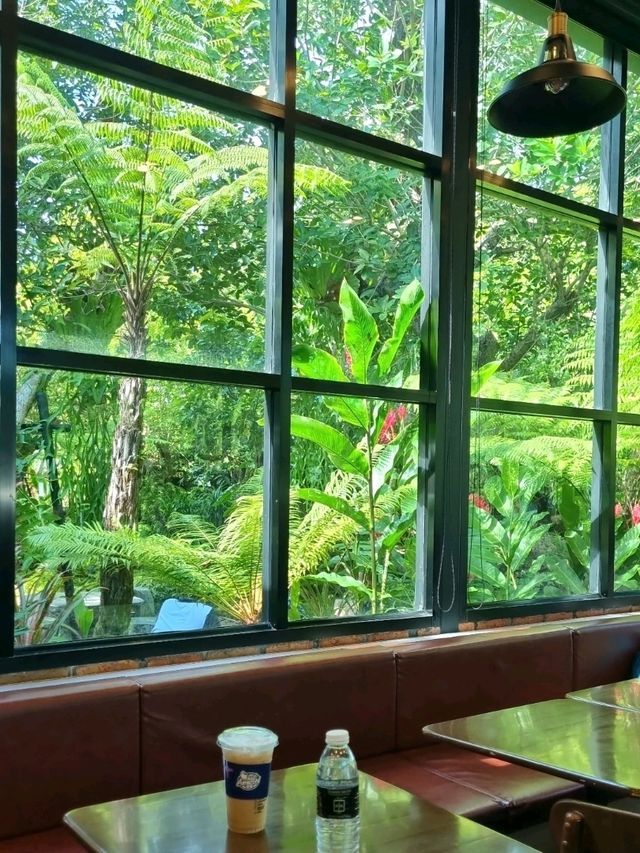 MAGICAL FOREST IN CAFE AMAZON