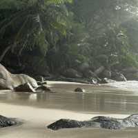 Untouched Beauty of the Indian Ocean