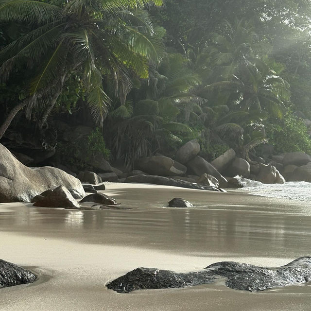 Untouched Beauty of the Indian Ocean