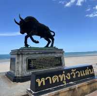 เอาตัวไปสังเคราะห์แสง ที่สะพลี ทุ่งวัวแล่น