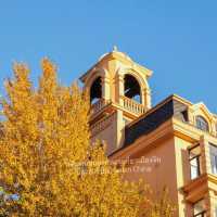 Harbin in Autumn 🍂 