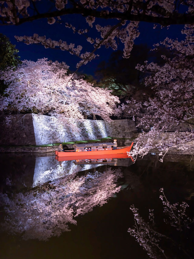 滋賀県桜の名所はここ！彦根城と桜