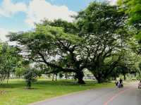 Changi Beach Park