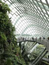 [新加坡] 全世界最高的室內瀑布