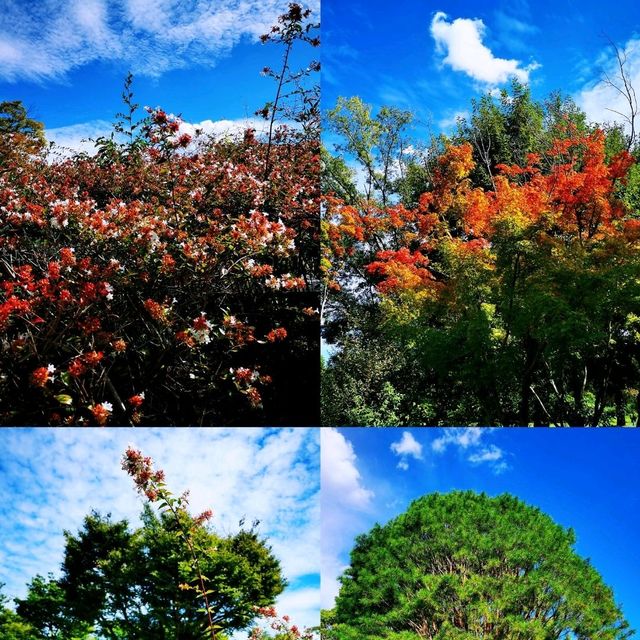 大阪萬博紀念公園