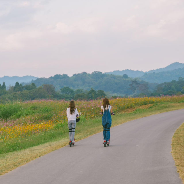 สิ้นปีนี้มารับลมหนาวกับบรรยากาศดี ๆ 🛴🌳