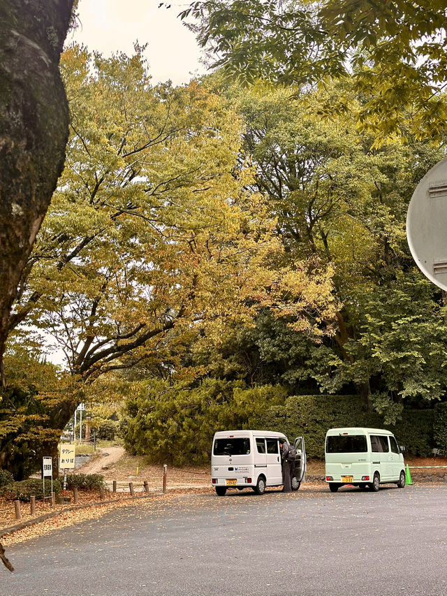 Fall Colors at Kyoto Botanical Garden 🍁