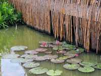 บ้านรักษ์นา ร้านอาหารไทย ในท้องทุ่งนา 