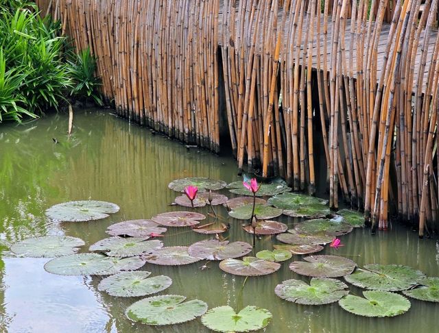 บ้านรักษ์นา ร้านอาหารไทย ในท้องทุ่งนา 