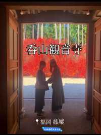 【福岡 篠栗】ドウダンツツジと紅葉がとても綺麗なスポット🍁
