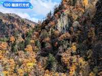 北海道賞楓-壯闊遼麗的定山溪豐平峽水壩