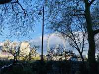 在倫敦公園觀看london eye