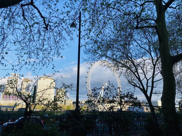 在倫敦公園觀看london eye