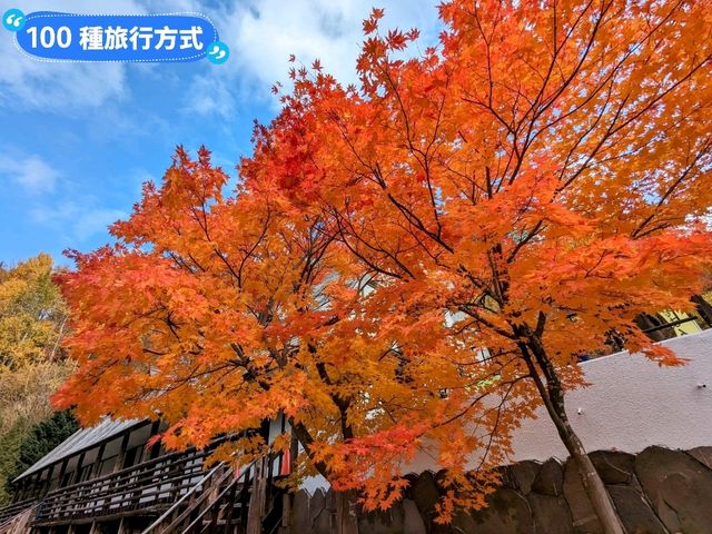 北海道賞楓-壯闊遼麗的定山溪豐平峽水壩