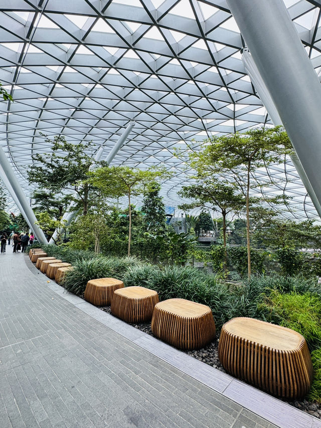 🇸🇬 Canopy Park Foggy Bowls