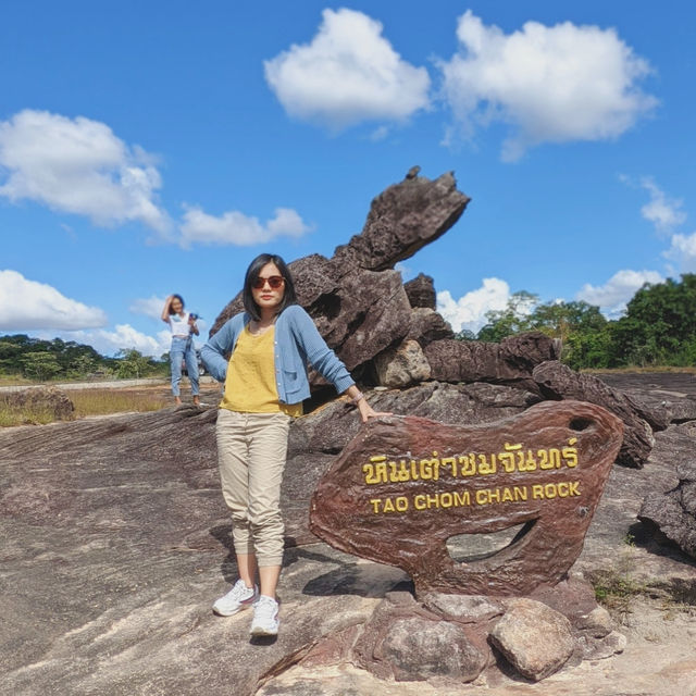 หินเต่าชมจันทร์ - ป่าดงนาทาม อุทยานแห่งชาติผาแต้ม