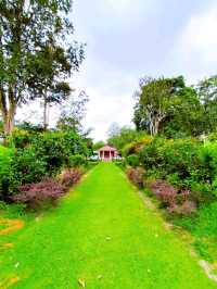 Enjoying Penang Botanic Gardens 