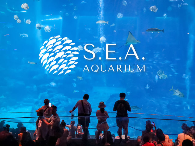 รีวิว S.E.A. Aquarium🇸🇬 