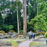 "Explore Nature on the Scenic Hiking Trails of Taman Eko Rimba Ulu Bendul"