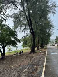 หาดสอ ชลบุรี 