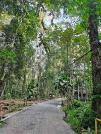 Escape to Nature: Sungai Congkak Recreational Forest