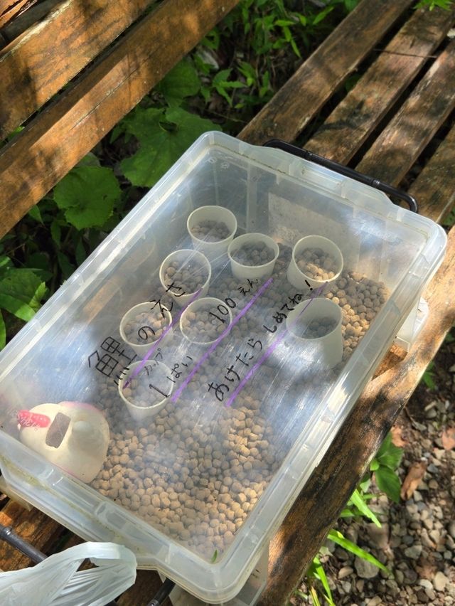【高知】白龍湖が美しい