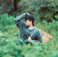 ไร่ชาลุงเดช