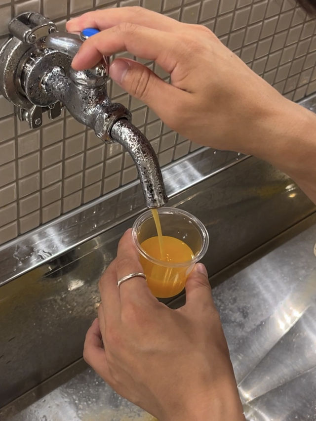 【愛媛】道後ハイカラ通りを散策