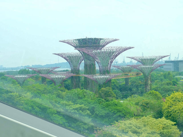 สวรรค์ของคนรักธรรมชาติ Gardens by the Bay