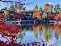 Redleaves in Tokugawa Garden