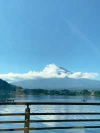 พาชมวิวฟูจิที่ทะเลสาบยามานากะโกะ 🏞️🌳🏔️