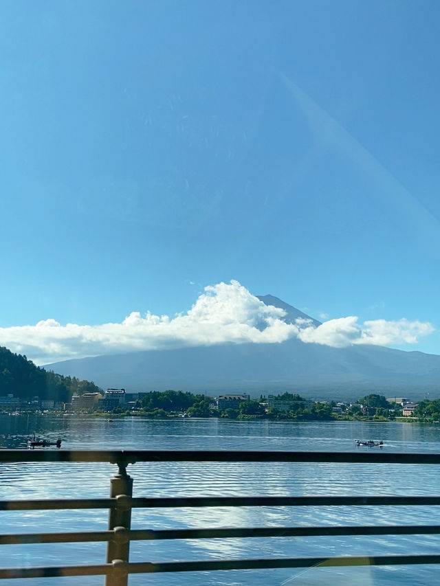 พาชมวิวฟูจิที่ทะเลสาบยามานากะโกะ 🏞️🌳🏔️