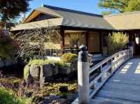 名古屋德川園-經典的日本庭園，環境精緻優美