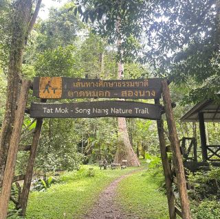 Tat Mok Waterfall