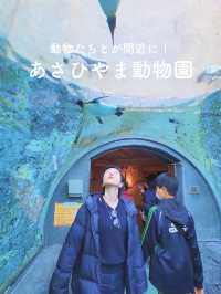 【動物たちが間近に✨あさひやま動物園🐻‍❄️】 