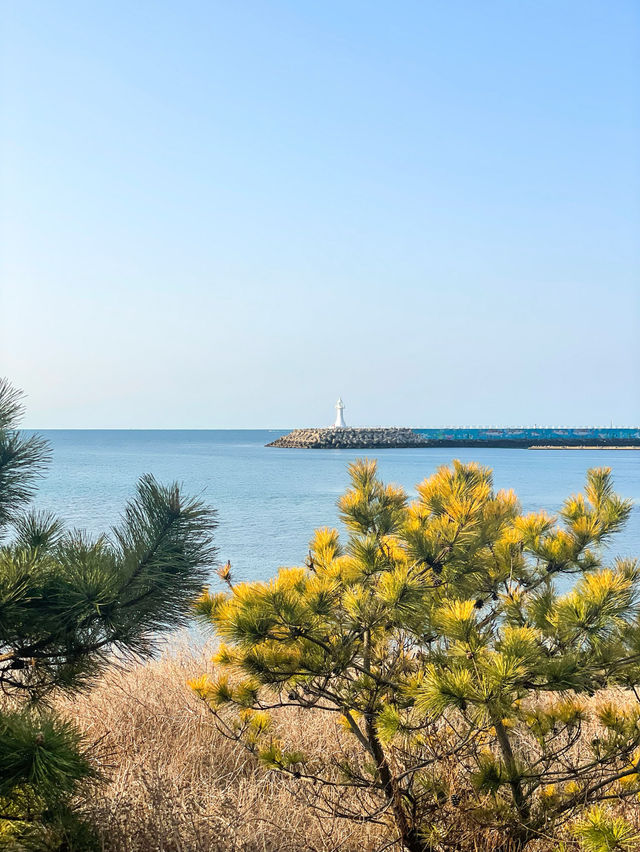 제주도 한적한 바다 ‘하모해수욕장’