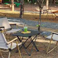 TACTONA CAFE