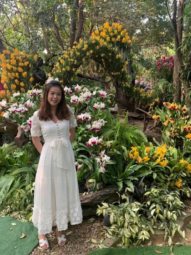 สวนกล้วยไม้สุวรรณภูมิออร์คิด