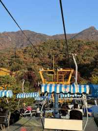 สวนสาธารณะ Seoul grand park