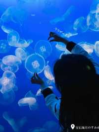 【神奈川県 】まるで海のイルミネーション！？Jewerium（ジュエリウム）が新江ノ島水族館で開催中