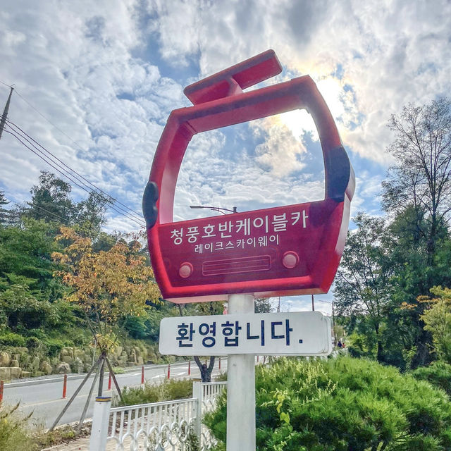 청풍호가 한 눈에 보이는 풍경🩵