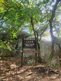 💛가을 수도권 등산여행으로 추천하는, "청계산"💛
