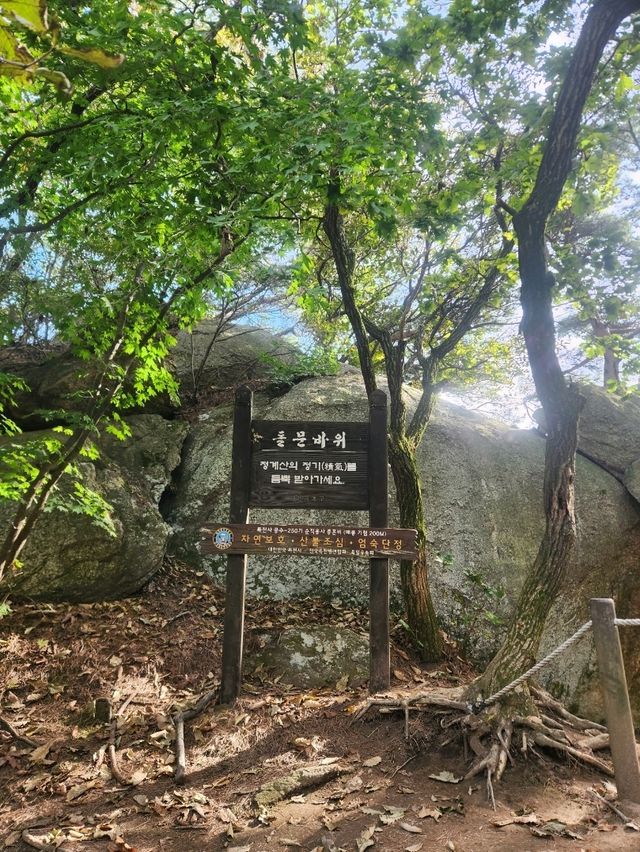 💛가을 수도권 등산여행으로 추천하는, "청계산"💛