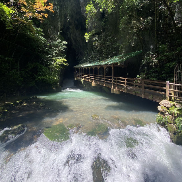 🇯🇵日本・山口/秋芳洞