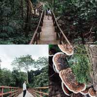 เขาใหญ่ x โคราช 15 ที่เที่ยวธรรมชาติ