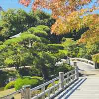  遊客分享：大仙公園，一個輕鬆悠閒的綠洲