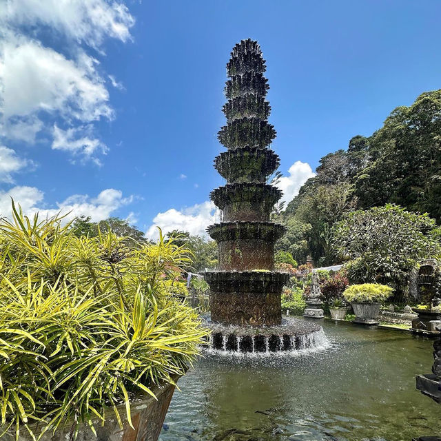 Enchanting Waters of Tirta Gangga