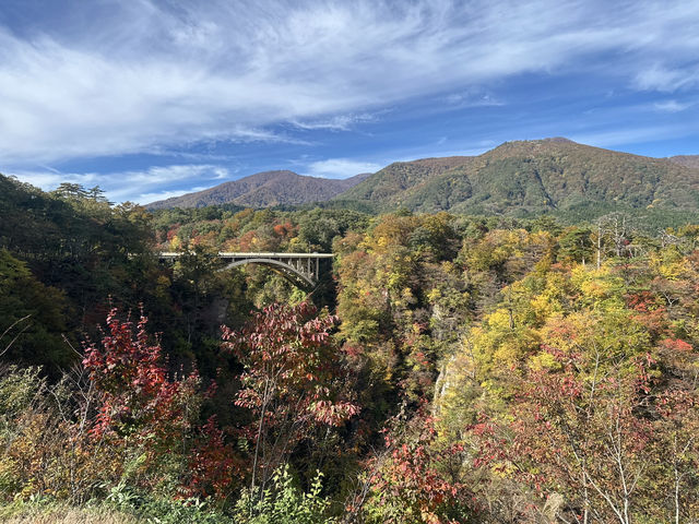 ใบไม้เปลี่ยนสีที่ Naruko Gorge 
